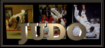 Judo1.jpg (16716 bytes)
